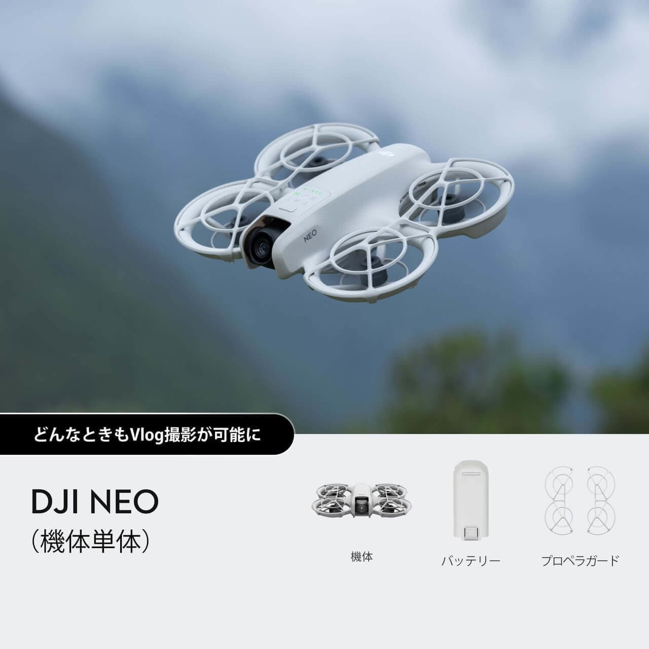 DJI NEO
