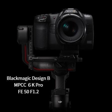 sonyfx3.jpg