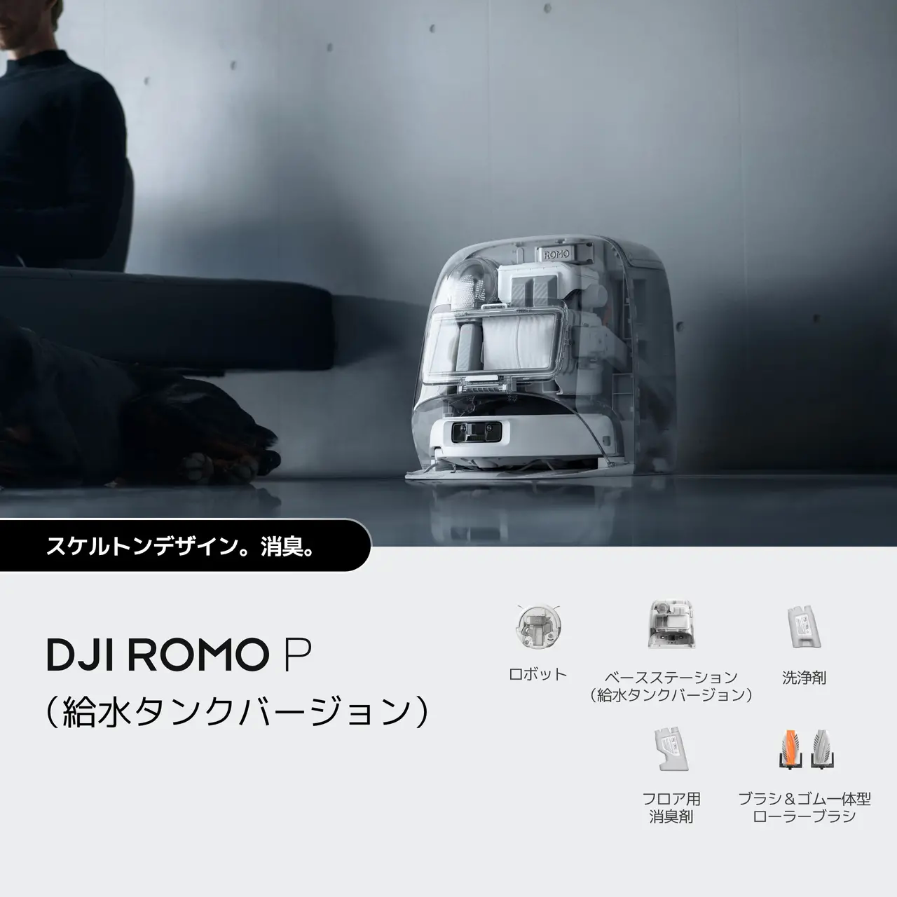 DJI ROMO P